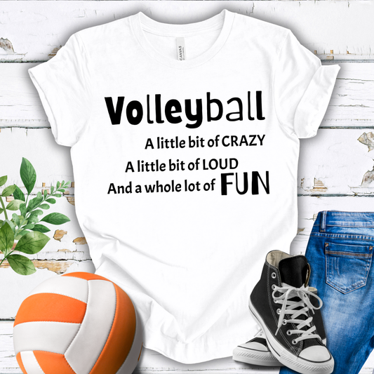 A Little Bit of Crazy Loud Fun T-shirt