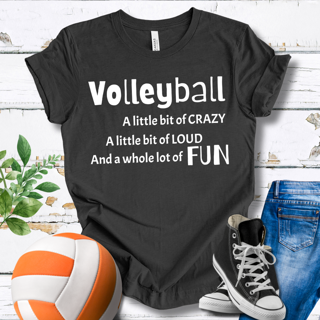 A Little Bit of Crazy Loud Fun T-shirt