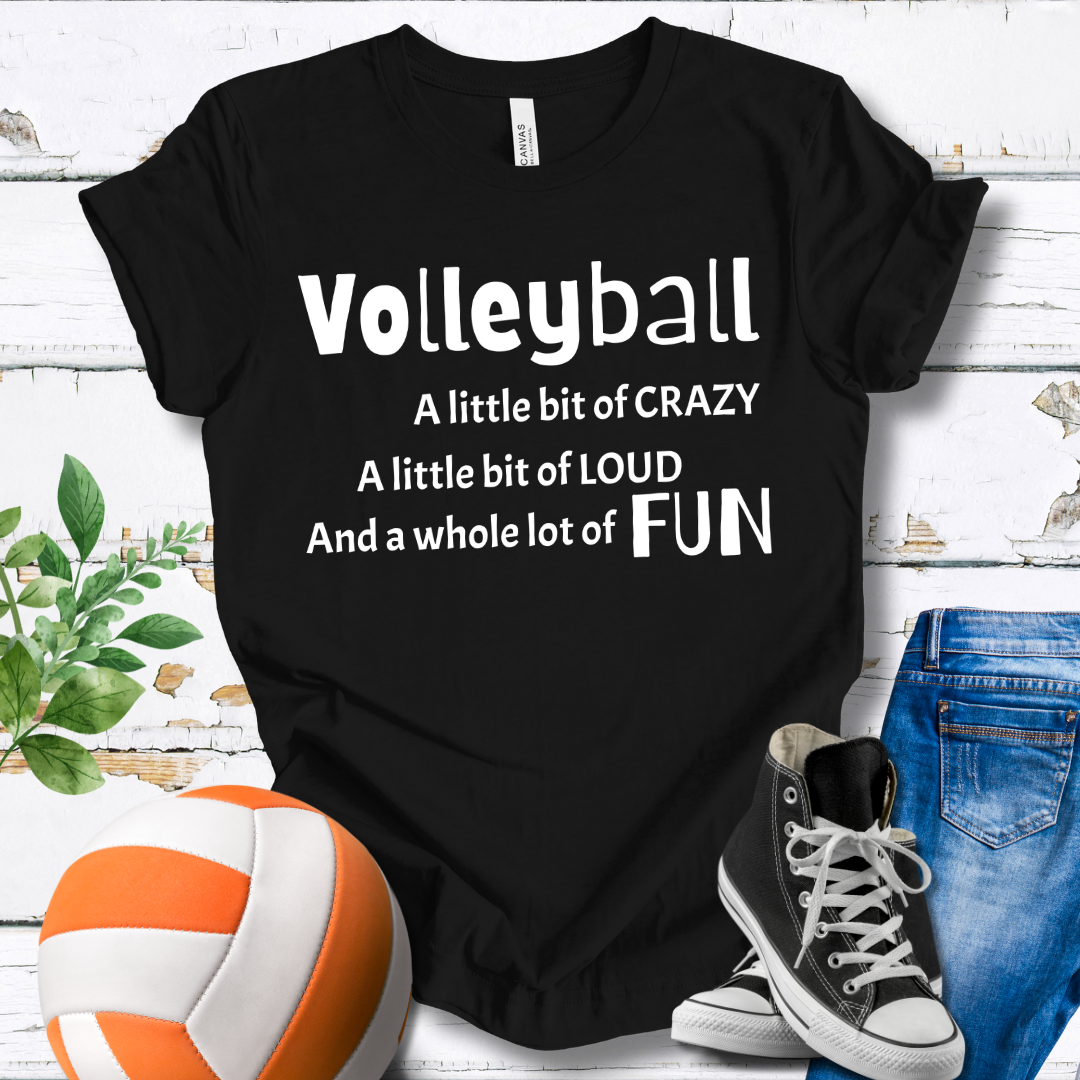 A Little Bit of Crazy Loud Fun T-shirt