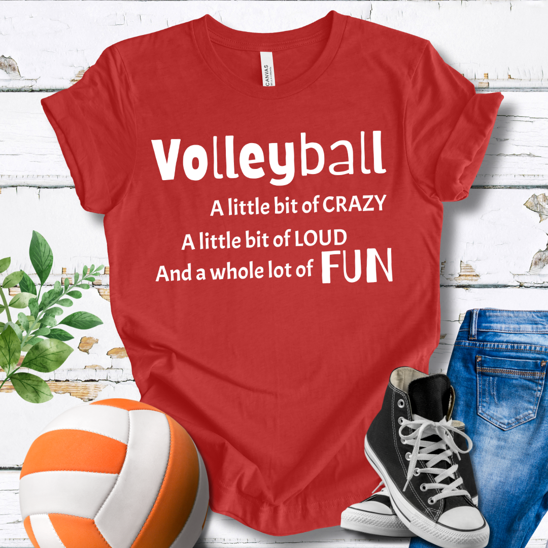 A Little Bit of Crazy Loud Fun T-shirt