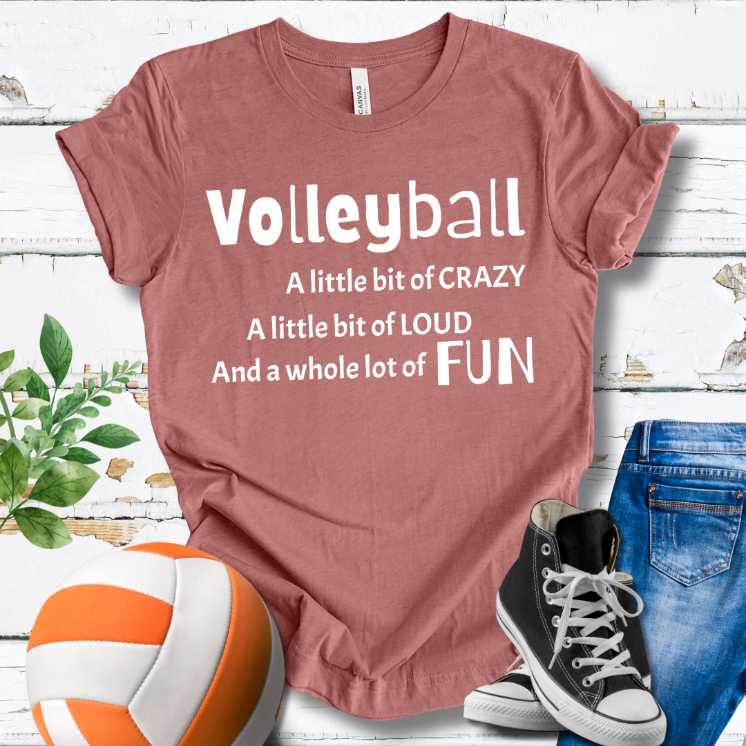 A Little Bit of Crazy Loud Fun T-shirt