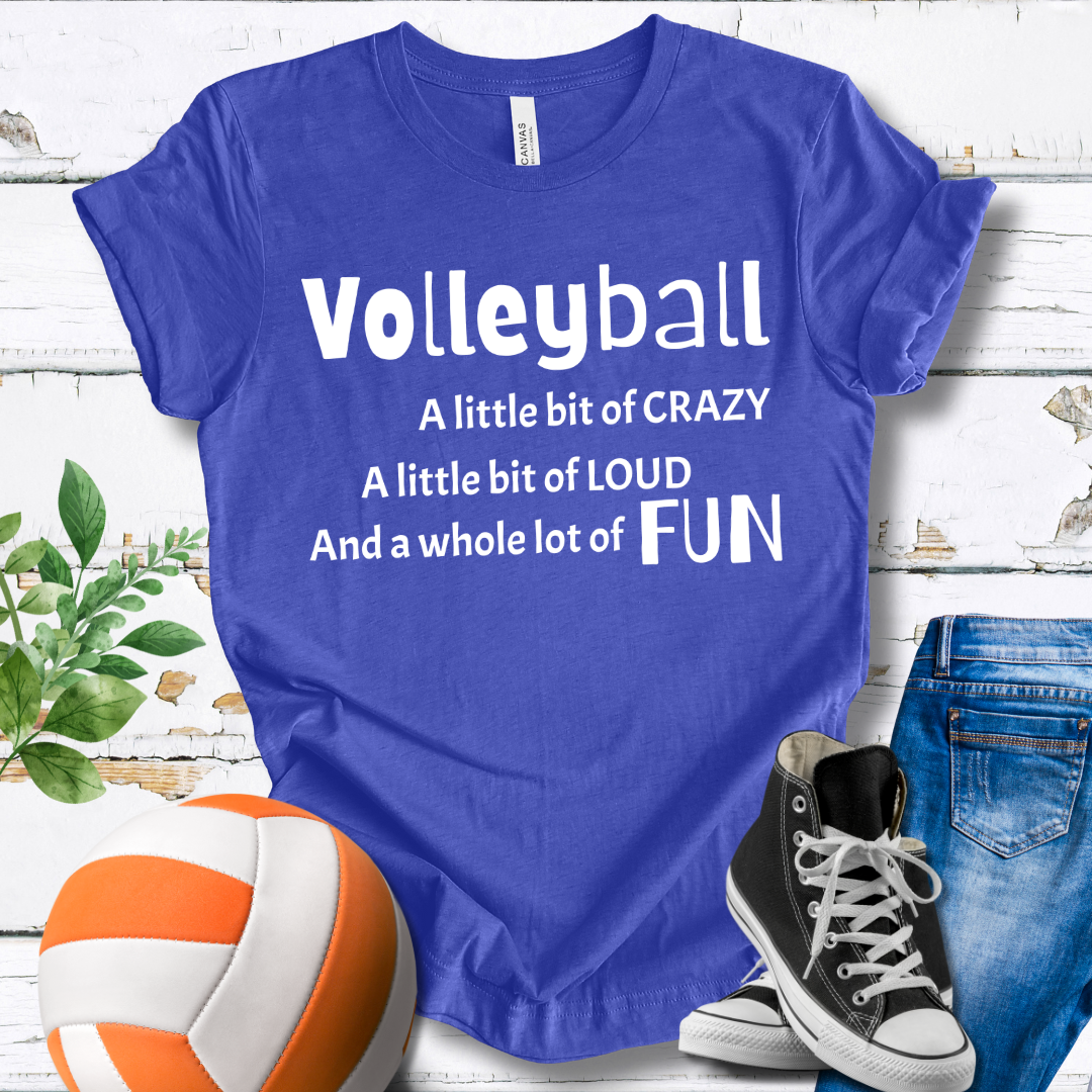 A Little Bit of Crazy Loud Fun T-shirt